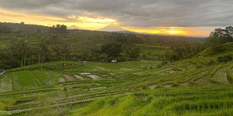 explore-rice-terraces-munduk-waterfall-trekking-experience