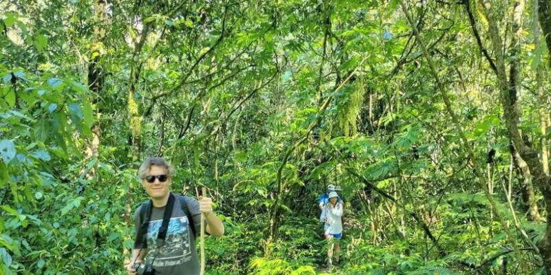 explore-rice-terraces-munduk-waterfall-trekking-experience