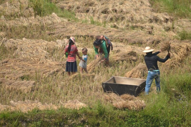 explore-sa-pa-with-overnight-train-sleeper-bus-trekking