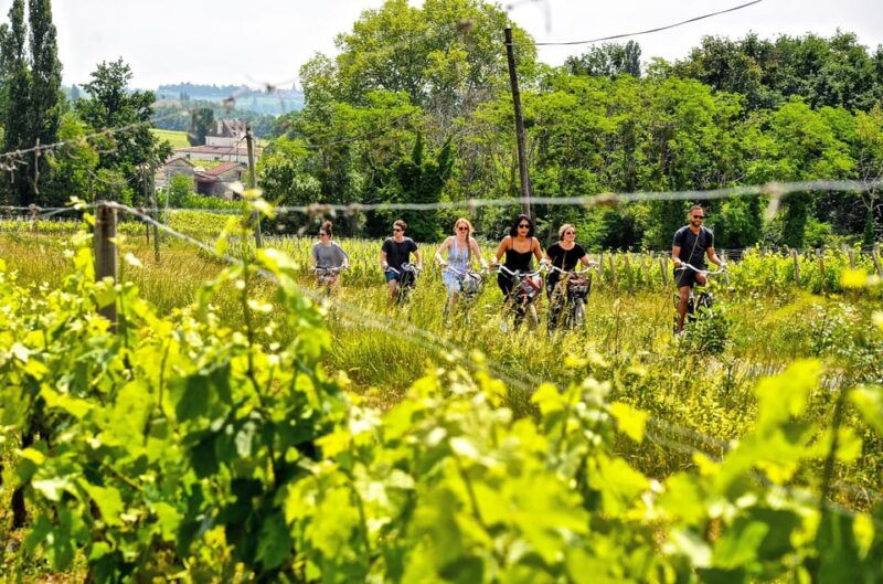 explore-saint-emilion-on-e-bikes-small-group-half-day-tour