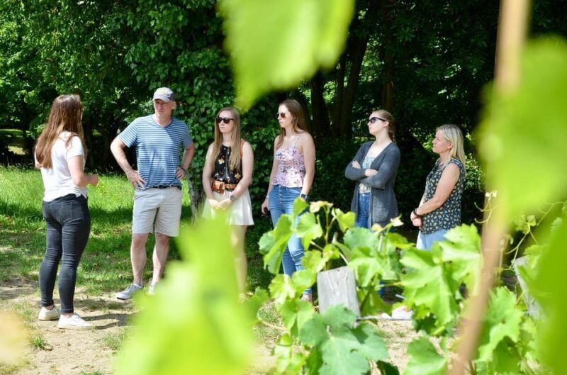 explore-saint-emilion-on-e-bikes-small-group-half-day-tour