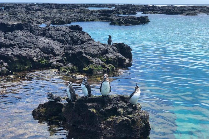 explore-san-cristobal-santa-cruz-galapagos-islands-5-days