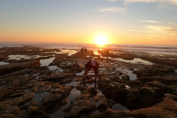 explore-san-diego-tide-pools-with-a-marine-biologist