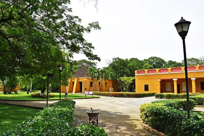 explore-santa-martas-history-museums-and-architecture-in-4-hours