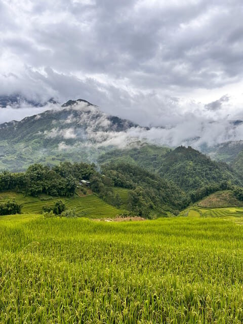 Explore Sapa by TrekkingAdventures, Mountain,Rice fields - Who Is This Tour Best For?