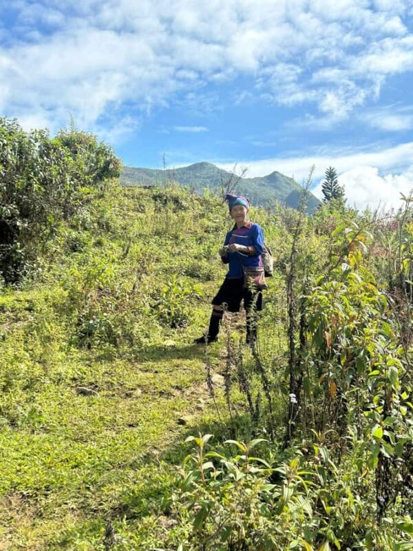 Explore Sapa with Dinh-Sapa Villages & Rice Fields, Culture - Key Points