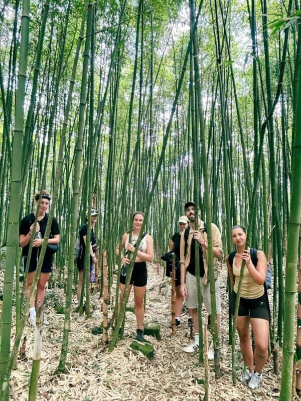 Explore Sapa with Dinh-Sapa Villages & Rice Fields, Culture - The Real Experience: Insights from Reviews