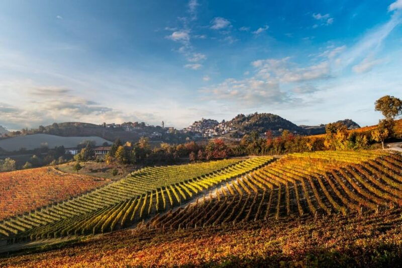 explore-savor-dynamic-wine-tasting-at-cantina-moscone