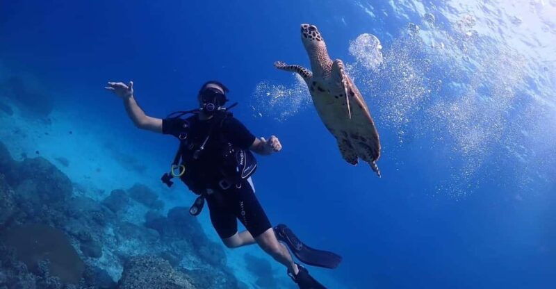 explore-scuba-diving-at-racha-yai-island-from-phuket