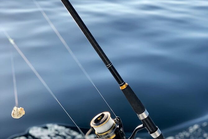 explore-sesimbra-sports-fishing-2
