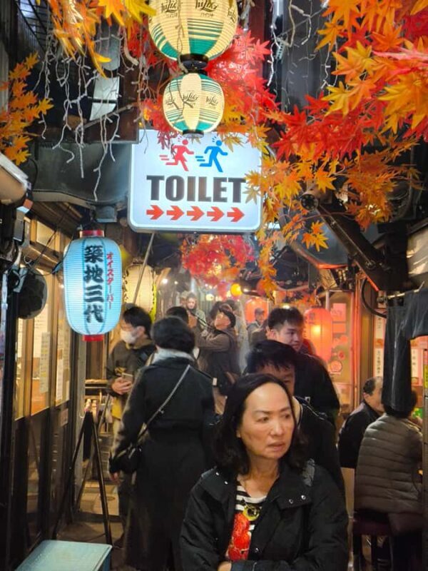 Explore Shinjuku's breathtaking views and entertainment districts - The Sum Up