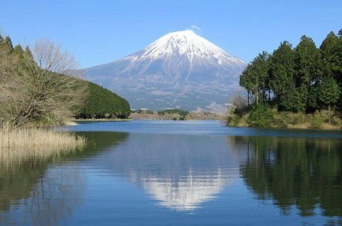 Explore Shizuoka with Private Car Tour - An In-Depth Look at the Itinerary and Experiences