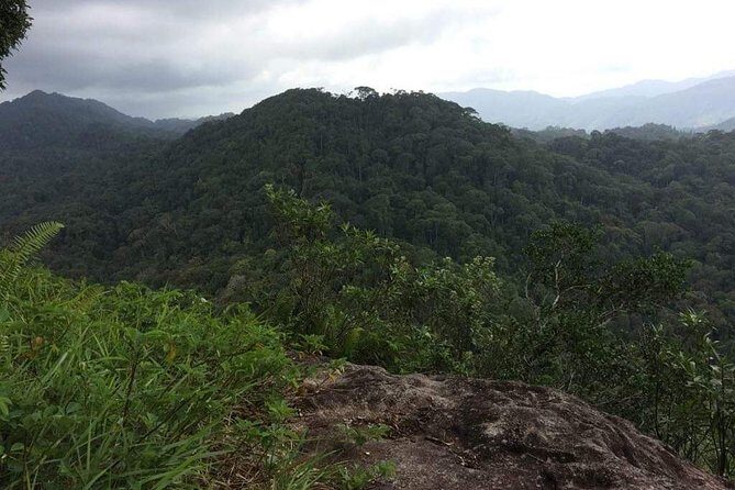 Explore Sinharaja Rainforest Lions Rock Hike Full day - Key Points