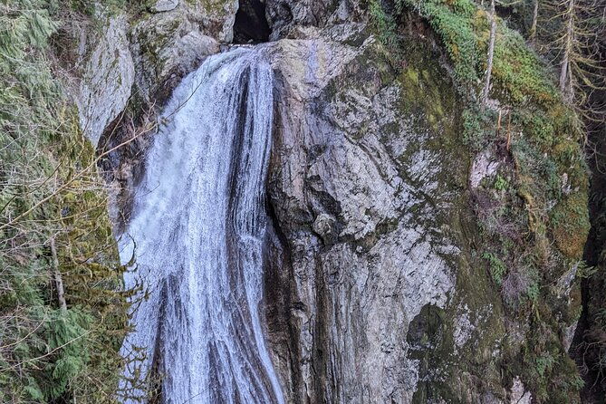 explore-snoqualmie-waterfalls-and-an-ancient-forest