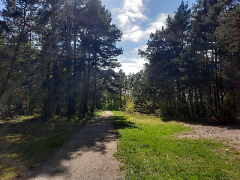 explore-sobieszewo-island-nature-walk-wildlife-tour