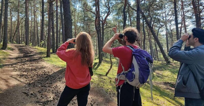 explore-sobieszewo-island-nature-walk-wildlife-tour