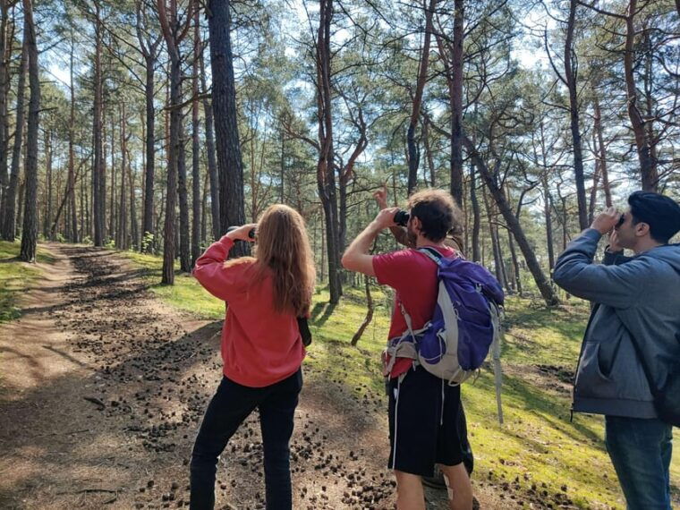 explore-sobieszewo-island-nature-walk-wildlife-tour