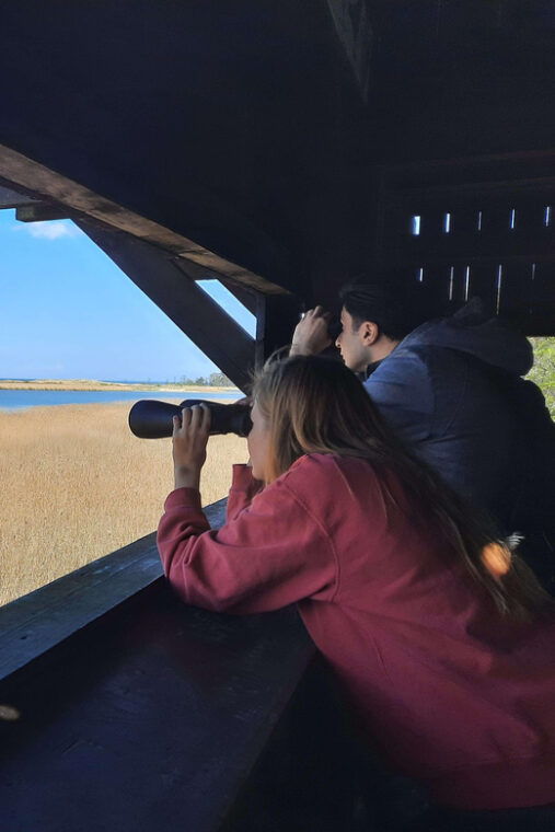 explore-sobieszewo-island-nature-walk-wildlife-tour