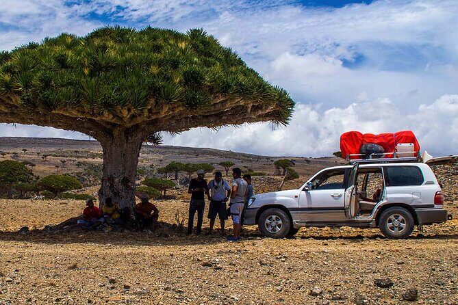 Explore Socotra Island |8 Days | PrivateTour(Oct 2024  May 2025) - Key Points