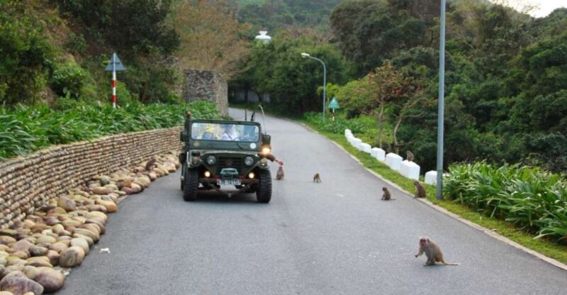 Explore Son Tra Peninsula by US Army Jeep - A Scenic Ride with a Vintage Twist