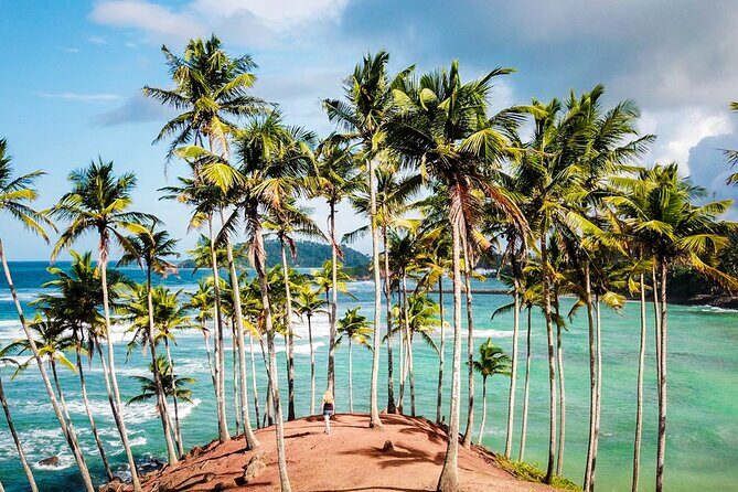 Explore Sri Lanka 8 Days - Key Points