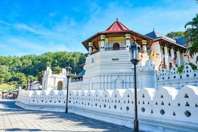 Explore Sri Lanka in 5 Days with Breakfast and Luxury Car - Final Thoughts