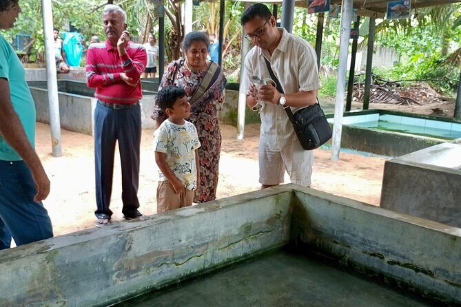 Explore Sri Lanka Your Way Rent a Private Car or Van with Driver - The Core of the Experience: Customizable & Comfortable Travel