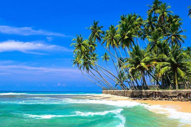 Explore Sri Lankas South Coast - Galle One Day City Tour - Practical Details and What to Expect