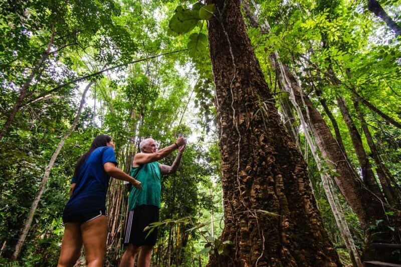 Explore Sri Sangwan Waterfall and Giant Cave I Chiang Mai - FAQ