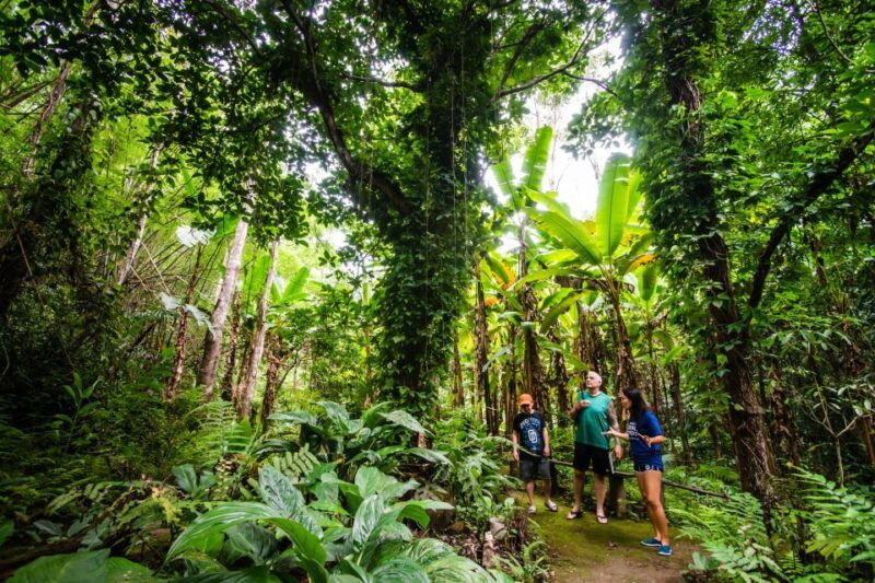 explore-sri-sangwan-waterfall-and-giant-cave-i-chiang-mai