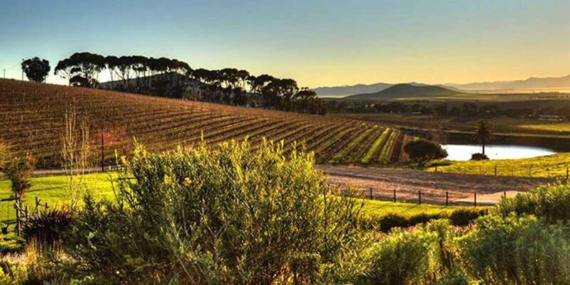 Explore Stellenbosch, Paarl, & Franschhoek Private Wine Tour - Franschhoek - South Africa’s Gourmet Capital