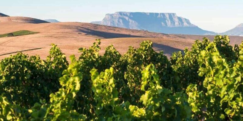 Explore Stellenbosch, Paarl, & Franschhoek Private Wine Tour - The Value of the Tour
