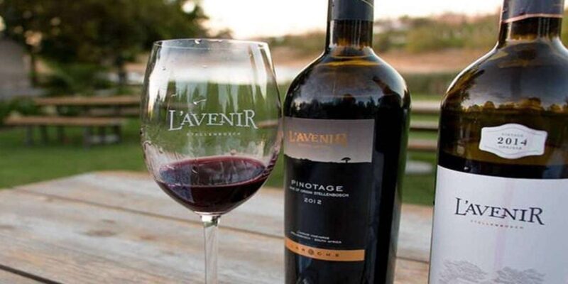 Explore Stellenbosch, Paarl, & Franschhoek Private Wine Tour - Final Thoughts