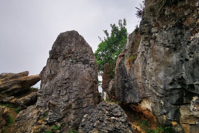 Explore Stone Garden, Volcano White Crater West Java in Jakarta - Who Should Consider This Tour?