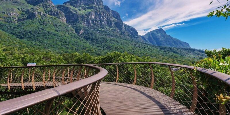 Explore Table Mountain, Kirstenbosch, & Constantia wineries. - Key Points