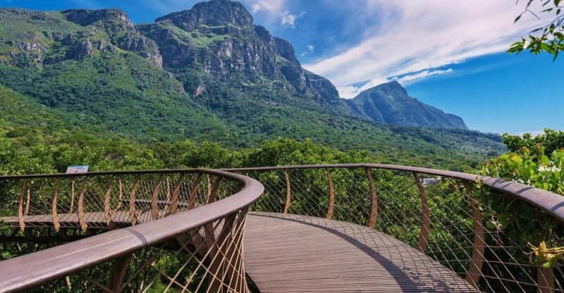 Explore Table Mountain, Kirstenbosch, & Constantia wineries. - A Detailed Look at This Cape Town Day Trip