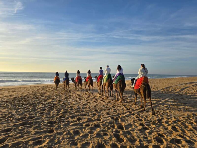 Explore Tangier: Cap Spartel, Cave, & Camel Ride Adventure - Key Points