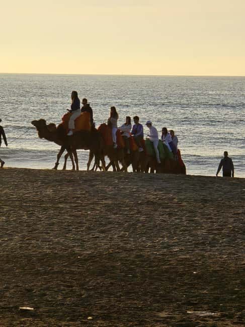 Explore Tangier: Cap Spartel, Cave, & Camel Ride Adventure - The Itinerary: What You Can Expect