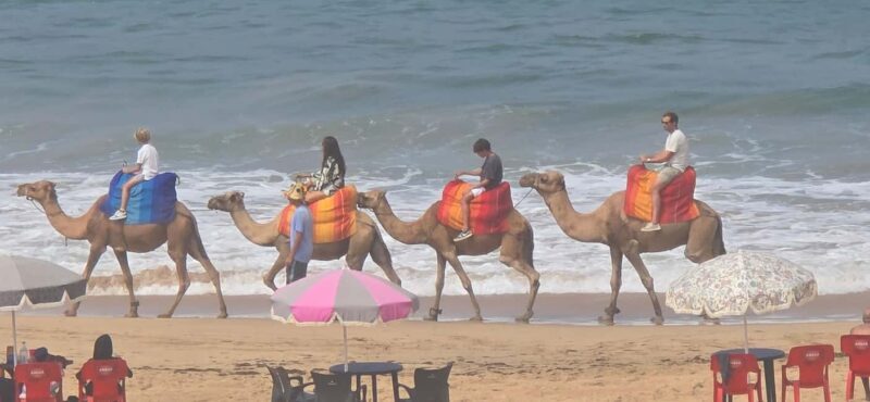 Explore Tangier: Cap Spartel, Cave, & Camel Ride Adventure - Practical Tips