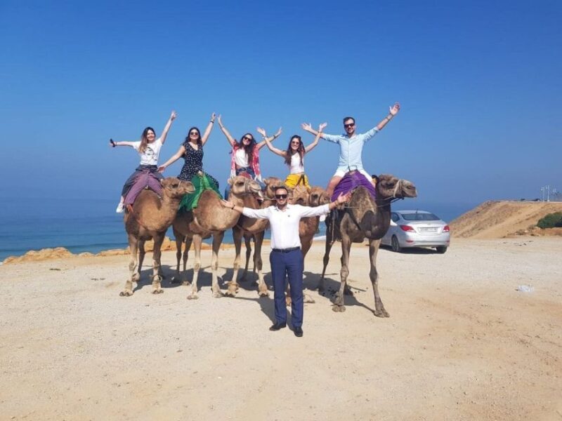 Explore Tangier with a ride in camel - Key Points