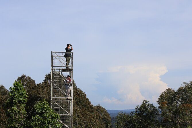 Explore Temburong with Canopy Tower - Key Points