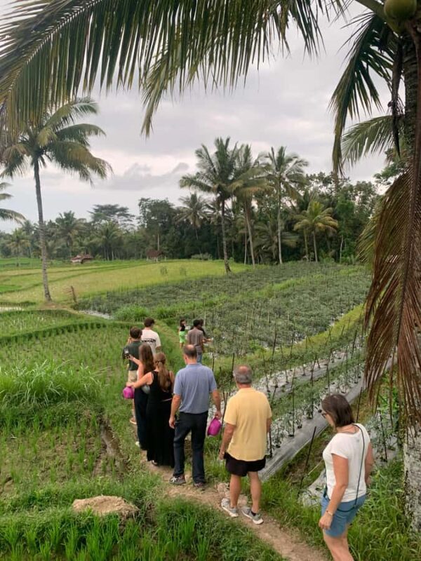 Explore Tetebatu Nature and Culture at Mount Rinjani - The Sum Up