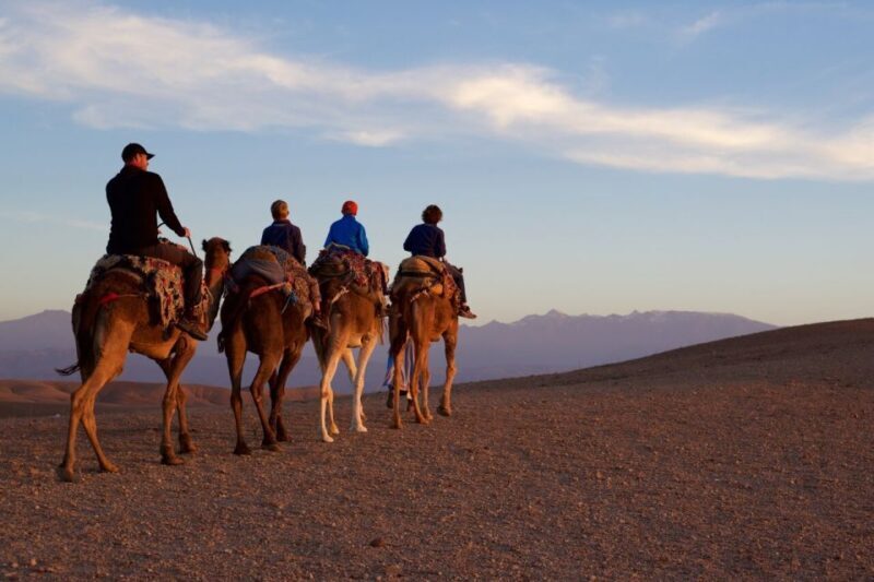 Explore the Atlas Mountains and wonders of Berber Villages - Who Should Consider This Tour?