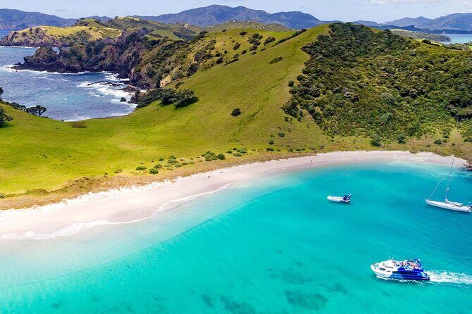 Explore The Bay of Islands Full Day Private Tour from Auckland - Key Points  