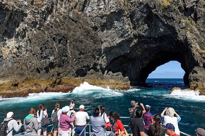 Explore The Bay of Islands Full Day Private Tour from Auckland - The Journey Begins: From Auckland to the Bay of Islands