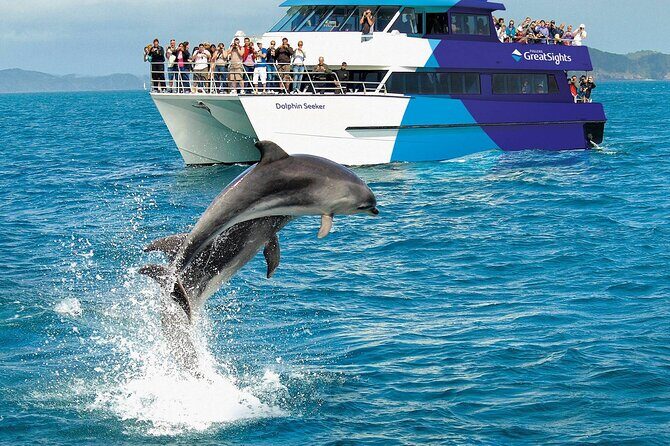 Explore The Bay of Islands Full Day Private Tour from Auckland - Final Thoughts: Is This Tour Worth It?