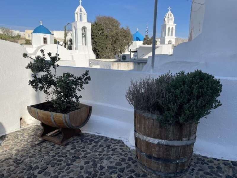 Explore the Best of Santorini in a Day: Private Guided Tour - Who Should Consider This Tour?