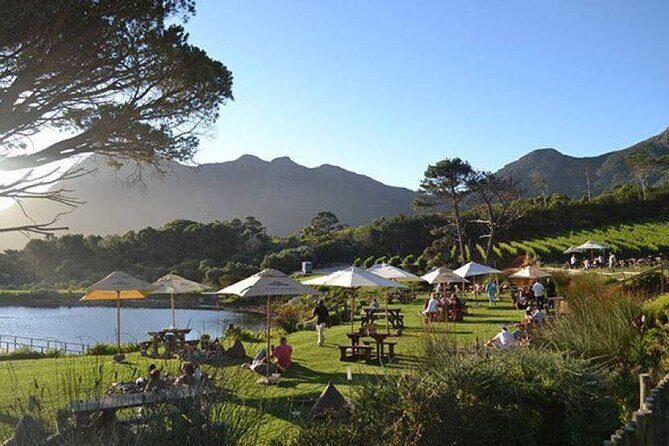 Explore the Cape Peninsula through a Queer Lens Private Tour - Why This Tour Is Worth Your While