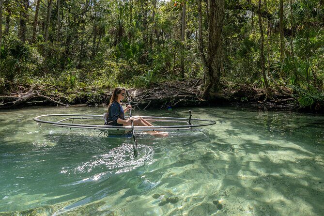 Explore The Chaz: Exclusive Clear Kayak Tours Near Crystal River - A Thorough Look at the Experience