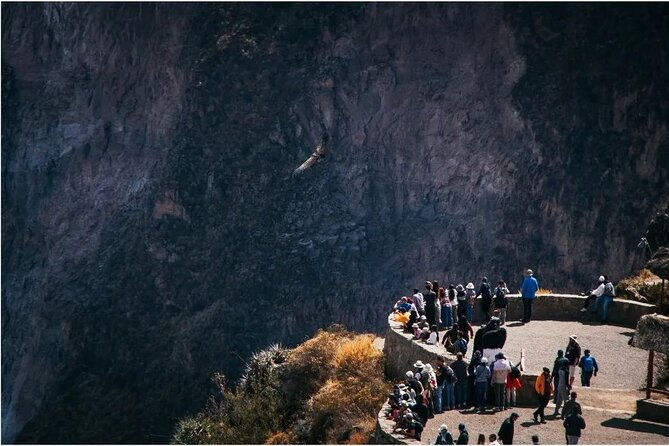 explore-the-colca-canyon-from-arequipa-2-days-and-1-night